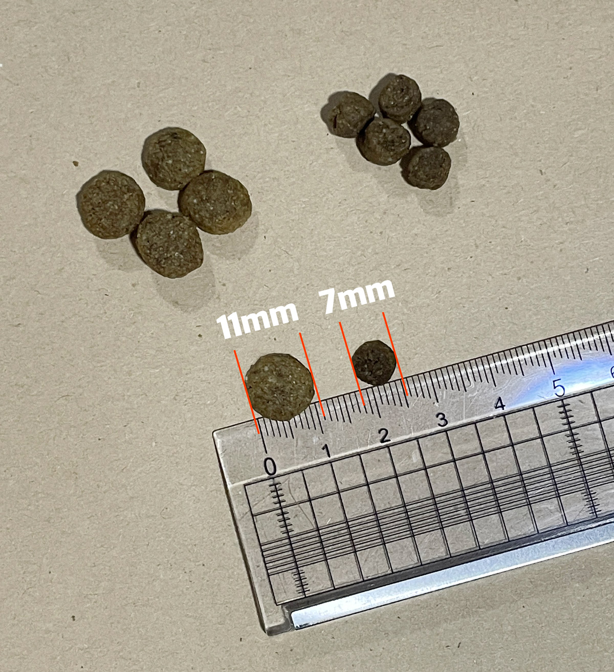 자로 비교한 사료 알갱이 두 크기와 사진의 11mm·7mm 표시